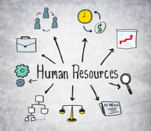 HR - business functions, business operations, business processes